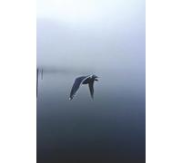 Writing Journal: Song of the Loon