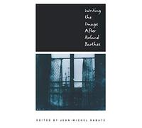 Writing the Image After Roland Barthes (New Cultural Studies)