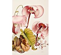 Written by You: Vintage Botanical Illustrations Sketchpad: A Sketchbook for Drawing Nature's Splendor or Writing About Earth's Flora