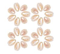 WRITWAA 50 Colgantes de Conchas Marinas Naturales Beige para Bricolaje Diseño Único y Estilo Sencillo, Ideales para Collares y Cadenas de Suéter