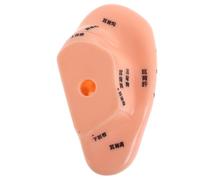 WRITWAA De Acupuntura Auricular Realista Silicona Con Puntos De Acupuntura Enseñanza Medicina y Prácticas De Masaje Oreja