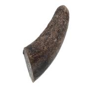 WRITWAA Material Natural de Cuernos de Vaca para Joyería Artesanal y Manualidades, Propiedades Estables y Reducción de Grietas, Adecuado para Talleres y Creaciones Únicas