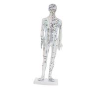 WRITWAA Modelo Puntos de Meridianos en Plástico Blanco de Simulación Anatómica de Acupuntura para Entrenamiento y Clínicas de Medicina Tradicional China