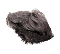 WRITWAA pelucas cortas para hombres cosplay peluca de pelo para hombres traje Marrón peluca hombre Peluca para Disfraz de peluca para hombre Los pelucas de pelo Light Grey