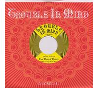 Wrong Words - I Will Change Your Mind [Vinilo]