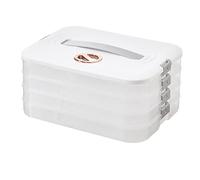 Wrtysully Caja de AlbóNdigas Caja de Almacenamiento Refrigerador CongelacióN de AlbóNdigas CongelacióN de Caja de AlbóNdigas de CongelacióN RáPida