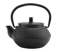 Wrtysully Tetera de Hierro con Infusor de Acero Inoxidable, Tetera de Hierro JaponéS Fundido, Tetera Oolong Tea Puer, Tetera de 300ML
