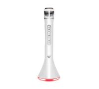 WS - Altavoz de Karaoke portátil - Bluetooth - Nomade - 680078MIN - Plateado - Inalámbrico - Música - Luz LED - Micrófono portátil - Canto - Niño - Adulto - Baile - iPad - iPhone - Android