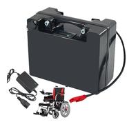 WSDAV Batería de fosfato de Hierro y Litio de 24 voltios para Silla de Ruedas eléctrica (24 V, 15 Ah, 20 Ah, 25 Ah, 30 Ah, 40 Ah, 50 Ah, 60 Ah) con Cargador para Motor 0 a 1440 W.,24v15ah