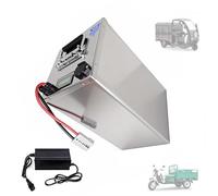 WSDAV Batería de Litio LiFePO4 de 48 V, 30 Ah, 45 Ah, 52 Ah, 55 Ah, 70 Ah; batería de fosfato de Hierro y Litio de 60 V, 72 V; baterías para Motocicletas con Cargador.,72v55ah