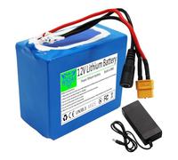 WSDAV Batería de Litio Recargable de 12 V y 20 Ah con Cargador y BMS para Kit de conversión de Motor de 0-240 W