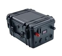 WSDAV Batería de propulsión de 24 V, batería de Iones de Litio de 12 V, 60 Ah, 80 Ah, 100 Ah, 120 Ah, 150 Ah, 200 Ah, baterías para Motor de 0 a 3600 W con Cargador,24v150ah