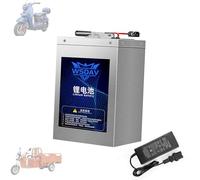 WSDAV Batería de Repuesto para Triciclo eléctrico de 48 V, batería de Litio extraíble de 48 voltios con Cargador para Motor de Motocicleta, Triciclo, Carrito de Golf de 0 a 4800 W.,48v 90ah