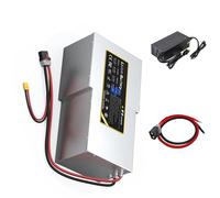 WSDAV Batería para Motocicleta eléctrica de 72 V, 90 Ah, 120 Ah, 135 Ah, 150 Ah, batería de Litio portátil con Cargador para triciclos y carritos de Golf.,72v 135ah 500mm