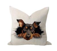 WSDESDEC Fundas de almohada rústicas para exteriores de 26 x 26 pulgadas, decoración de Doberman Pinscher, funda de almohada suave de dibujos animados divertidos de perro de algodón y lino para hotel,