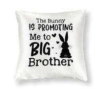 WSDESDEC The Bunny Is Promoting Me To Big Brother - Fundas de almohada para exteriores de 61 x 61 cm, funda de almohada cuadrada de satén moderna para sofá, jardín, tienda de campaña, decoración