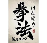 WSJIJY Impresión De La Lona Decoración De La Sala De Estar Caligrafía Tradicional Arte De Personajes Jianpu Tai Chi Bushido Carteles Impresiones Cuadros En Lienzo 50X70Cm Sin Marco