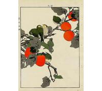 WSJIJY Impresión De La Lona Lienzos De Viaje De Tokio, Pinturas De Geishas, Arte De Pared Vintage, Impresiones De Paisajes, Carteles para Decoración De Sala De Estar, 30 X 45 Cm, Sin Marco
