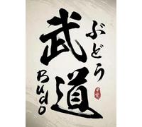WSJIJY Impresión De La Lona Póster De Caligrafía Japonesa Takeda, Arte Marcial De Judo, Karate, Kendo, Bushido, Samurai, Lienzo, Impresión De Pared, Decoración del Hogar, 45 X 60 Cm, Sin Marco