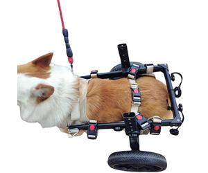 WSPWFQ Silla de ruedas para perro para soporte de patas traseras, marco ajustable, diseño de entrepierna abierta, malla transpirable, fácil de usar (XL)