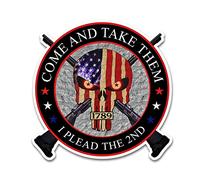 WSQ I Plead The 2nd American Flag Skull Second Enendment Right to Bear Arms Tactical Miltia Special Ops Military Molle Vinilo calcomanía de calidad premium vinilo tamaño 4 pulgadas para parachoques de coche, camioneta, SUV, ventana, barco, vasos, portátil o cualquier superficie lisa