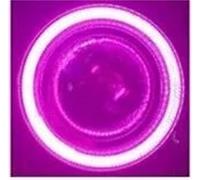 WSUMKH Auto Faros Para Mazda 5 2011 2012 Innovador Ojo De Ángel Luz LED Conducción Diurna Drl + Lámpara Antiniebla Halógena + Lente Proyector Faro(Violeta)