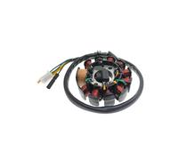 WsuTdx Estator de Bobina de Encendido de 11 Polos y 6 Cables Compatible con ATV 152QMI GY6 de 125 CC, 150 CC, 180 CC y 200 CC
