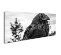 WTD - Lienzo decorativo (60 x 30 cm), diseño de cuervo con una vista azul hielo en silenciosa dignidad de la naturaleza, efecto blanco y negro