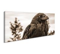 WTD - Lienzo decorativo (60 x 30 cm), diseño de cuervo con vista azul hielo en silencio dignidad de la naturaleza