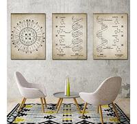 WTEVMAIY Retro Adn Y Arn GenéTica CóDigo De La Lona GenéTica BiologíA QuíMica Decoracion Sin Marco Pintura Pared Arte Poster Imprimir Poster Aula Pared Poster 40×50cm×3pcs