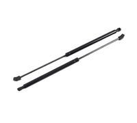 WTNZBAEM Amortiguadores de capó Delantero de Acero Inoxidable, Soporte de elevación, compatibles con Ford Explorer 2020, 2021, 2022, 2023 y 2024.