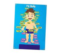 wueiooskj Tablero de Fieltro para enseñanza: el Cuerpo de los niños pequeños Despierta la curiosidad en los niños con un Atractivo Juego Tablero Historias para Aprender Las Partes del Cuerpo,