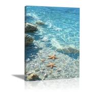 WUFIEA Animal Cuadro en Lienzo Fotos de Animales Marinos cuadro vintage Bahía de estrellas de mar obra de arte para baño sala de estar,dormitorio（Azul-70x100cm Enmarcado