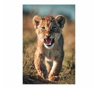 WUFIEA Canvas Wall Art Decoracion Modernos Animales - Arte - León Rugido de cachorro Cuadro Dormitorio Decoracion Hogar Pared（marrón171-60x80cm Sin marco