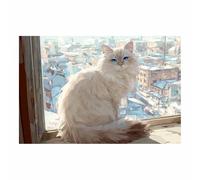 WUFIEA Cuadro moderno de gato sobre lienzo, arte de pared con diseño Gato posado en la ventana. arte abstracto para pared, del hogar para sala de estar, dormitorio（blanco-60x80cm Sin marco