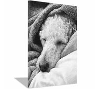 WUFIEA Impresiones de Lienzo de Animale Lindo,Impresión En Lienzo De Perro Dulces sueños Imagen sobre para Decoración del Hogar Oficina（blanco y negro-40x60cm Enmarcado