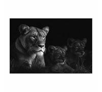 WUFIEA león Divertidos cuadros de pared lienzo póster León protegiendo a su cachorro cuadros de pared arte sala de estar decoración del hogar impresiones en lienzo（negro17-60x90cm Sin marco