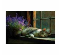 WUFIEA Lienzo decorativo para pared con diseño de gato El gato duerme plácidamente para el hogar, sala de estar, dormitorio, oficina（gris claro-60x90cm Sin marco