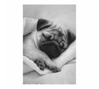 WUFIEA Lienzo decorativo para pared con diseño de perro Dulces sueños dormitorio, oficina, decoración del hogar（blanco y negro-60x90cm Sin marco