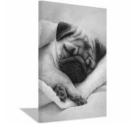 WUFIEA Lienzo decorativo para pared con diseño de perro Dulces sueños dormitorio, oficina, decoración del hogar（blanco y negro-70x100cm Enmarcado