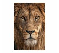 WUFIEA pintura en lienzo de león Gran cara de león Decoración Del Hogar Sala De Estar Dormitorio（marrón265-70x100cm Sin marco