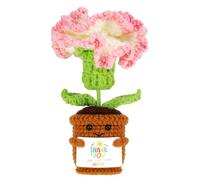 WUISOLQP Regalos para mujeres hecho a mano con claveles de ganchillo con flores de bolsillo Claveles hechos a mano con palabras de agradecimiento positivas Regalos divertidos para tía, hermana, novia