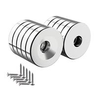 Wukong Imanes Neodimio Potentes 10 Piezas 20 x 4 mm Imanes Potente N52 con Orificio Avellanado y 10 Tornillos,Perfecto Para Cocina,Herramientas,Bricolaje