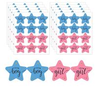 WUMZIRA Pegatinas de Revelación de Género, 120 Piezas Gender Reveal Stickers Team Boy y Team Girl, Etiquetas para Juegos de Votación Baby Shower y Decoración de Fiesta de Nacimiento, Rosa y Azul