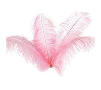 WUNDER 10 Plumas De Avestruz Naturales De La Fiesta De Boda DecoraciÓN Pcs 20-25cm
