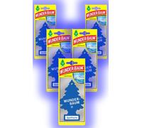 Wunder-Baum Ambientador para coche (5 unidades, incluye lápiz de luz y frescor deportivo)