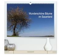 Wunderschöne Bäume im Sauerland (hochwertiger Premium Wandkalender 2026 DIN A2 quer), Kunstdruck in Hochglanz: Beeindruckende Bäume in wundervoller Landschaft.