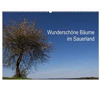 Wunderschöne Bäume im Sauerland (Wandkalender 2026 DIN A2 quer), CALVENDO Monatskalender: Beeindruckende Bäume in wundervoller Landschaft.