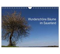 Wunderschöne Bäume im Sauerland (Wandkalender 2026 DIN A4 quer), CALVENDO Monatskalender: Beeindruckende Bäume in wundervoller Landschaft.
