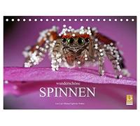Wunderschöne Spinnen (Tischkalender 2026 DIN A5 quer), CALVENDO Monatskalender: Die verborgene Schönheit der Spinnen